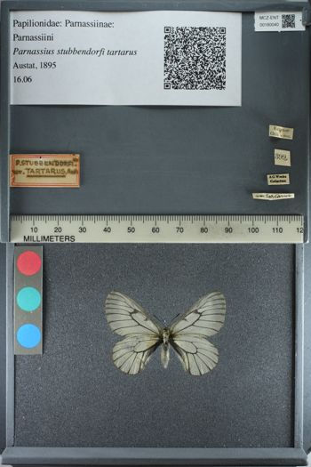 Media type: image;   Entomology 180040